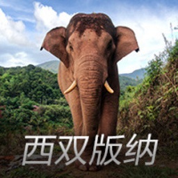 萨内：我在这里感觉很自在，很期待这赛季的这个决定性的阶段